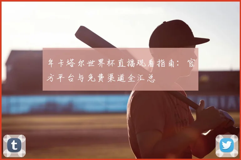 年卡塔尔世界杯直播观看指南：官方平台与免费渠道全汇总