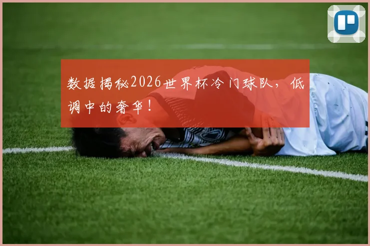 数据揭秘2026世界杯冷门球队，低调中的奢华！